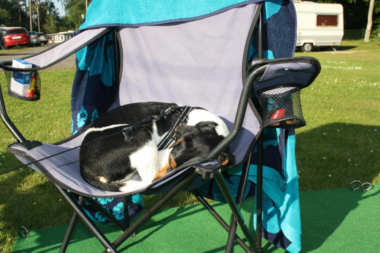 Bromoella Camping O Vandrarhem 外观 照片